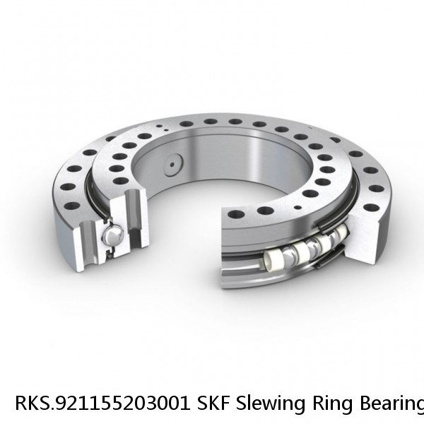 RKS.921155203001 SKF Slewing Ring Bearings