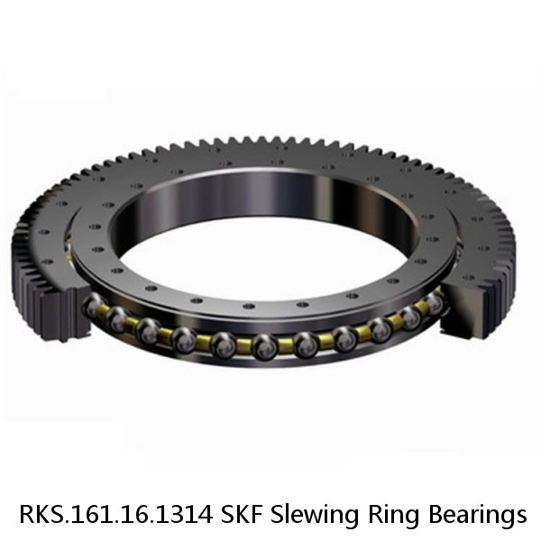 RKS.161.16.1314 SKF Slewing Ring Bearings #1 small image