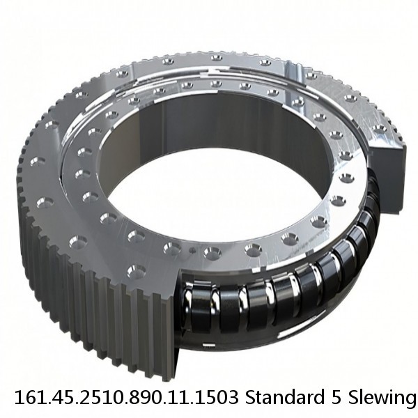 161.45.2510.890.11.1503 Standard 5 Slewing Ring Bearings #1 small image
