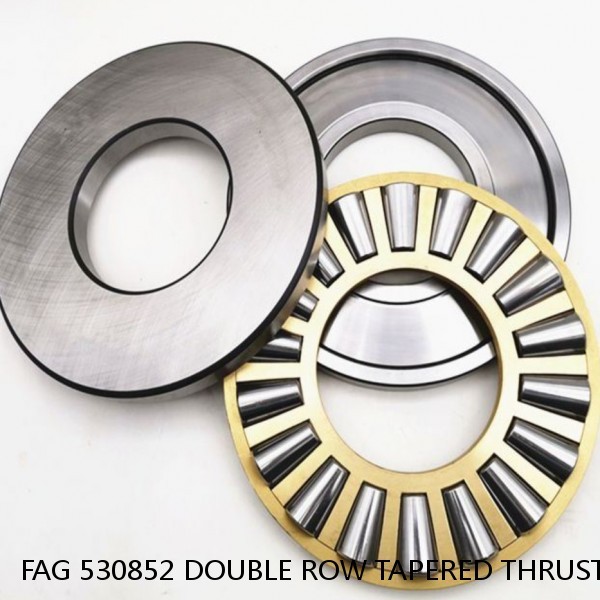 FAG 530852 DOUBLE ROW TAPERED THRUST ROLLER BEARINGS #1 small image