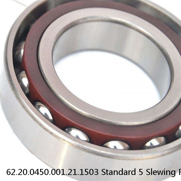 62.20.0450.001.21.1503 Standard 5 Slewing Ring Bearings #1 small image