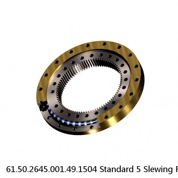 61.50.2645.001.49.1504 Standard 5 Slewing Ring Bearings #1 small image