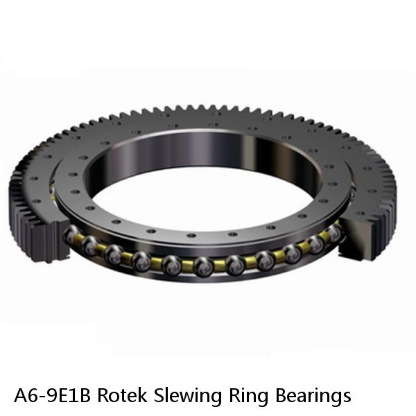 A6-9E1B Rotek Slewing Ring Bearings #1 small image