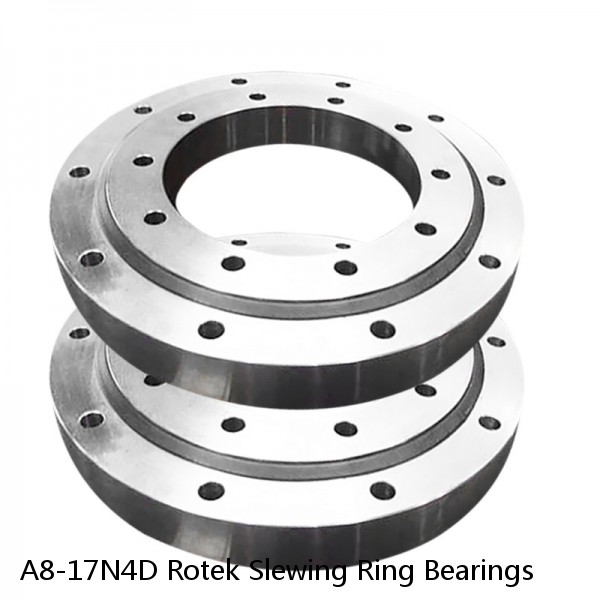 A8-17N4D Rotek Slewing Ring Bearings #1 small image