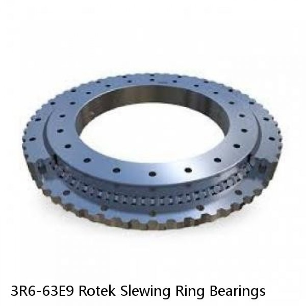 3R6-63E9 Rotek Slewing Ring Bearings #1 small image