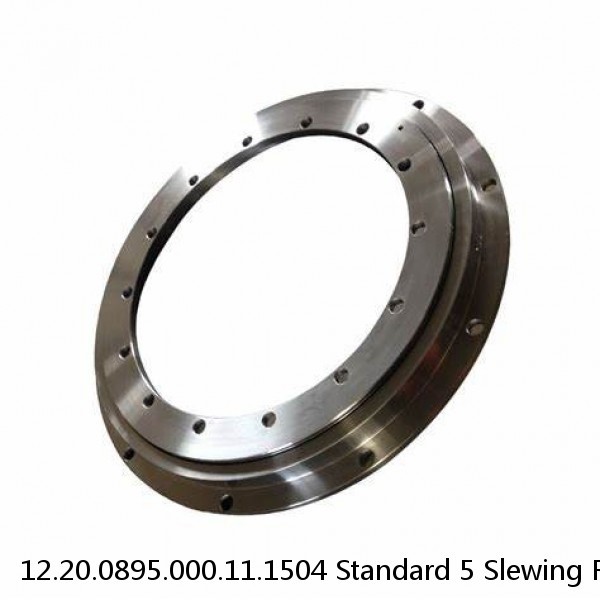 12.20.0895.000.11.1504 Standard 5 Slewing Ring Bearings #1 small image