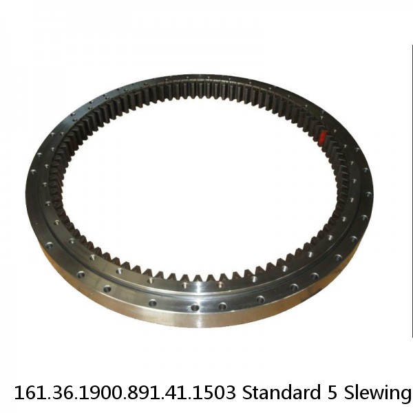 161.36.1900.891.41.1503 Standard 5 Slewing Ring Bearings #1 small image