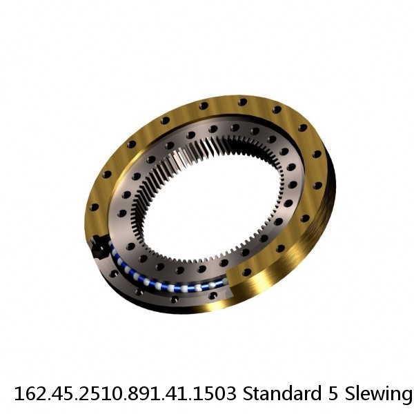 162.45.2510.891.41.1503 Standard 5 Slewing Ring Bearings #1 small image