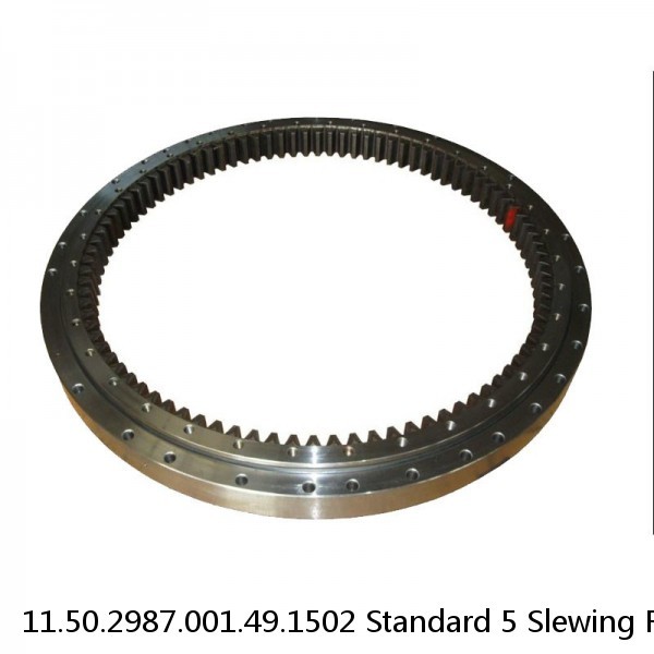 11.50.2987.001.49.1502 Standard 5 Slewing Ring Bearings #1 small image