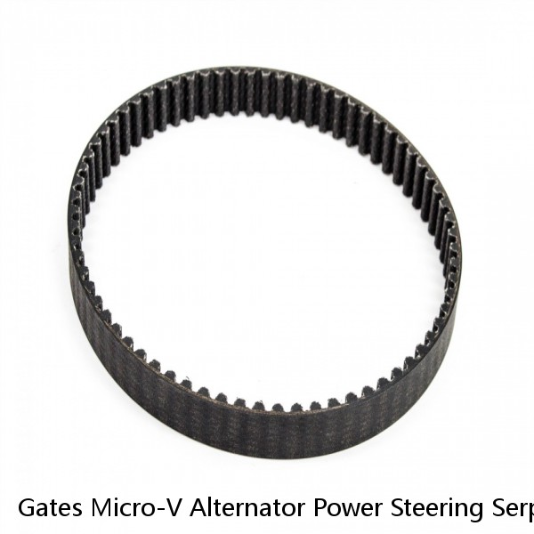 Gates Micro-V Alternator Power Steering Serpentine Belt for 2000-2004 vs #1 small image