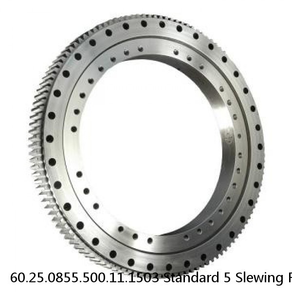 60.25.0855.500.11.1503 Standard 5 Slewing Ring Bearings #1 image