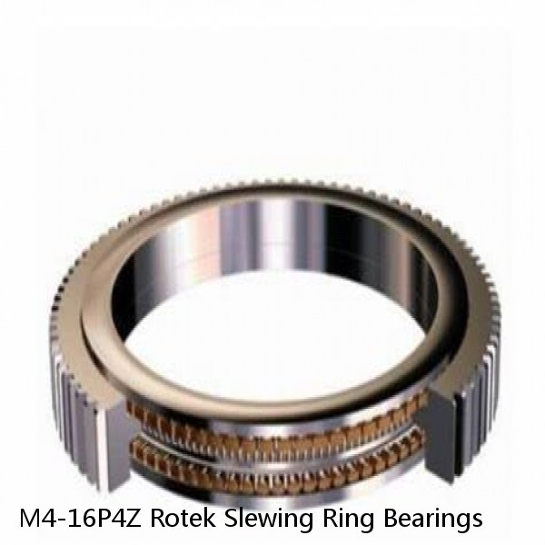 M4-16P4Z Rotek Slewing Ring Bearings #1 image