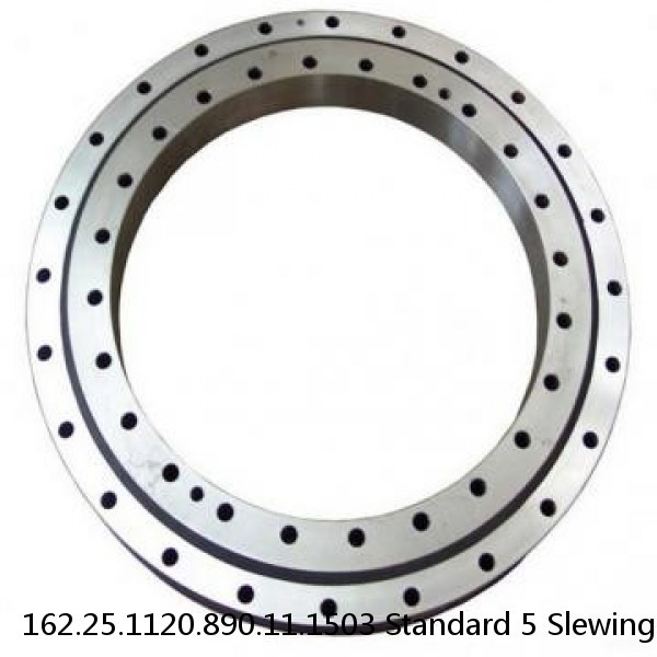162.25.1120.890.11.1503 Standard 5 Slewing Ring Bearings #1 image