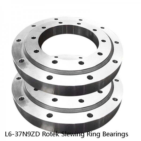 L6-37N9ZD Rotek Slewing Ring Bearings #1 image