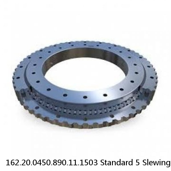 162.20.0450.890.11.1503 Standard 5 Slewing Ring Bearings #1 image
