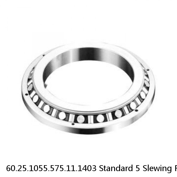 60.25.1055.575.11.1403 Standard 5 Slewing Ring Bearings #1 image