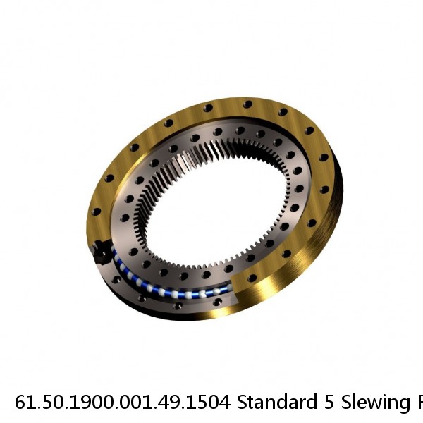61.50.1900.001.49.1504 Standard 5 Slewing Ring Bearings #1 image