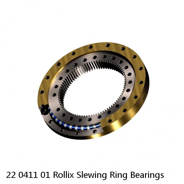 22 0411 01 Rollix Slewing Ring Bearings #1 image
