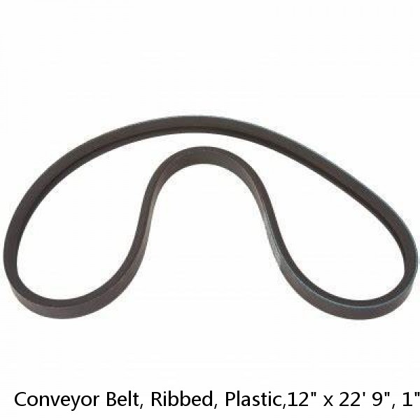 Conveyor Belt, Ribbed, Plastic,12" x 22' 9", 1" Pitch #1 image