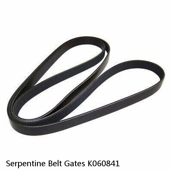 Serpentine Belt Gates K060841 #1 image